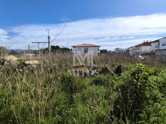 Outros - Darque, Viana do Castelo, Viana do Castelo - Imagem grande
