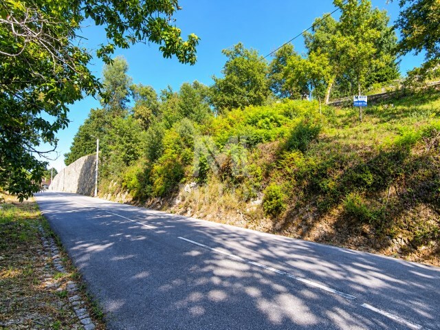 Terreno R�stico - Durr�es, Barcelos, Braga - Imagem grande