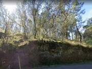 Terreno R�stico - Subportela, Viana do Castelo, Viana do Castelo - Miniatura: 7/8