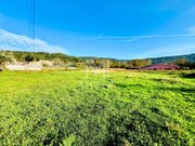Terreno R�stico - Afife, Viana do Castelo, Viana do Castelo - Miniatura: 2/7