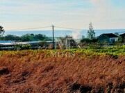Terreno R�stico - Afife, Viana do Castelo, Viana do Castelo - Miniatura: 5/7