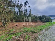 Terreno R�stico - Afife, Viana do Castelo, Viana do Castelo - Miniatura: 2/7