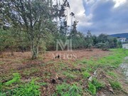 Terreno R�stico - Afife, Viana do Castelo, Viana do Castelo - Miniatura: 4/7