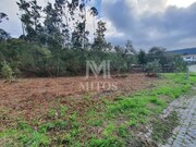 Terreno R�stico - Afife, Viana do Castelo, Viana do Castelo - Miniatura: 5/7