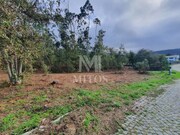 Terreno R�stico - Afife, Viana do Castelo, Viana do Castelo - Miniatura: 6/7