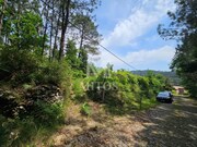 Terreno R�stico - Gondar, Caminha, Viana do Castelo - Miniatura: 4/9