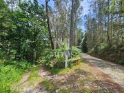 Terreno R�stico - Gondar, Caminha, Viana do Castelo - Miniatura: 5/9