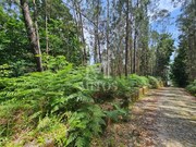 Terreno R�stico - Gondar, Caminha, Viana do Castelo - Miniatura: 6/9