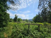Terreno R�stico - Gondar, Caminha, Viana do Castelo - Miniatura: 8/9