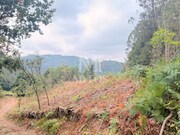 Terreno R�stico - Gondar, Caminha, Viana do Castelo - Miniatura: 8/9