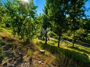 Terreno R�stico - Durr�es, Barcelos, Braga - Miniatura: 3/9