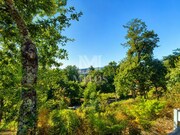 Terreno R�stico - Durr�es, Barcelos, Braga - Miniatura: 4/9