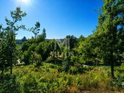 Terreno R�stico - Durr�es, Barcelos, Braga - Miniatura: 5/9