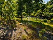 Terreno R�stico - Durr�es, Barcelos, Braga - Miniatura: 7/9