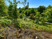Terreno R�stico - Durr�es, Barcelos, Braga - Miniatura: 8/9