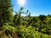 Terreno R�stico - Durr�es, Barcelos, Braga - Miniatura: 9/9