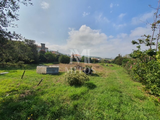 Terreno R�stico - Afife, Viana do Castelo, Viana do Castelo - Imagem grande