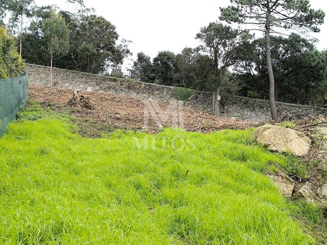 Terreno R�stico - Santa Maria Maior, Viana do Castelo, Viana do Castelo - Imagem grande