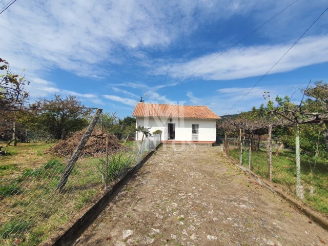 Moradia T2 - Afife, Viana do Castelo, Viana do Castelo - Imagem grande