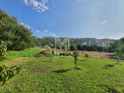 Terreno R�stico - Afife, Viana do Castelo, Viana do Castelo - Miniatura: 5/9