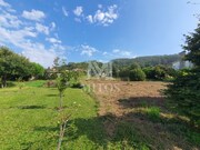 Terreno R�stico - Afife, Viana do Castelo, Viana do Castelo - Miniatura: 8/9