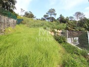 Terreno R�stico - Santa Maria Maior, Viana do Castelo, Viana do Castelo - Miniatura: 1/6