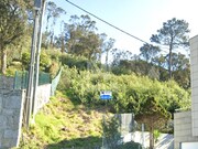 Terreno R�stico - Santa Maria Maior, Viana do Castelo, Viana do Castelo - Miniatura: 2/6