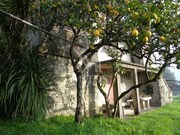 Quinta T3 - Cardielos, Viana do Castelo, Viana do Castelo - Miniatura: 3/9