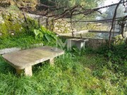 Quinta T3 - Cardielos, Viana do Castelo, Viana do Castelo - Miniatura: 4/9