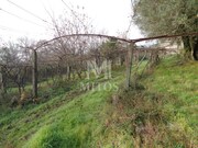 Quinta T3 - Cardielos, Viana do Castelo, Viana do Castelo - Miniatura: 9/9