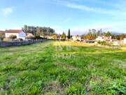 Terreno R�stico - Durr�es, Barcelos, Braga - Miniatura: 7/8