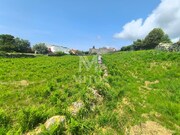 Terreno R�stico - Afife, Viana do Castelo, Viana do Castelo - Miniatura: 3/9