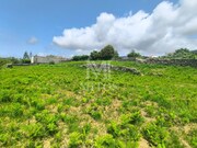 Terreno R�stico - Afife, Viana do Castelo, Viana do Castelo - Miniatura: 9/9