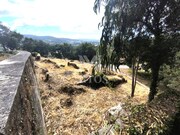 Terreno R�stico - Barroselas, Viana do Castelo, Viana do Castelo - Miniatura: 6/9