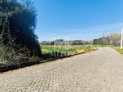 Terreno R�stico - Durr�es, Barcelos, Braga - Miniatura: 2/9