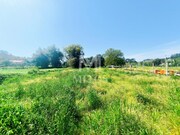 Terreno R�stico - Durr�es, Barcelos, Braga - Miniatura: 5/9