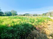 Terreno R�stico - Durr�es, Barcelos, Braga - Miniatura: 6/9