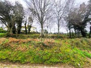 Terreno R�stico - Durr�es, Barcelos, Braga - Miniatura: 2/9