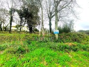 Terreno R�stico - Durr�es, Barcelos, Braga - Miniatura: 3/9