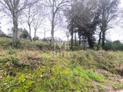 Terreno R�stico - Durr�es, Barcelos, Braga - Miniatura: 4/9