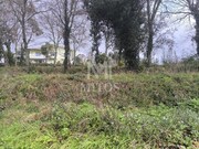 Terreno R�stico - Durr�es, Barcelos, Braga - Miniatura: 5/9
