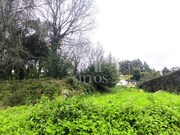 Terreno R�stico - Durr�es, Barcelos, Braga - Miniatura: 6/9