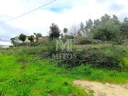 Terreno R�stico - Durr�es, Barcelos, Braga - Miniatura: 8/9