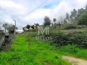 Terreno R�stico - Durr�es, Barcelos, Braga - Miniatura: 9/9