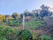 Terreno R�stico - Gondar, Caminha, Viana do Castelo - Miniatura: 3/9