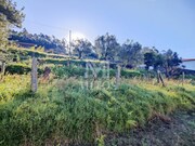 Terreno R�stico - Gondar, Caminha, Viana do Castelo - Miniatura: 5/9
