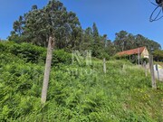 Moradia T3 - Mentrestido, Vila Nova de Cerveira, Viana do Castelo - Miniatura: 7/9