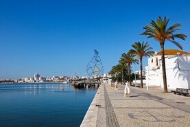 Loja T0 - Portimo, Portimo, Faro (Algarve) - Miniatura: 7/11
