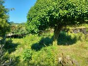 Moradia - Cabana Maior, Arcos de Valdevez, Viana do Castelo - Miniatura: 5/9