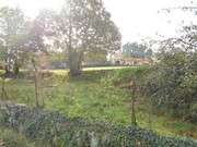 Terreno R�stico - Monte Redondo, Arcos de Valdevez, Viana do Castelo - Miniatura: 1/9